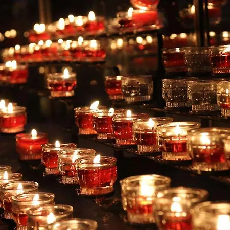 The Originals Access, Gare